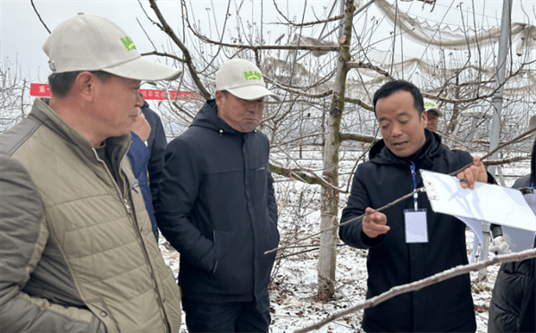 苹果版人人通空间:洛川县：60名务果“高手”树巅角逐-第2张图片-太平洋在线下载