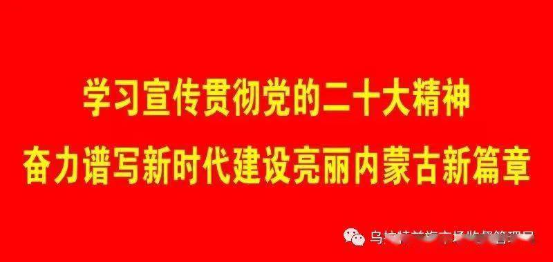 码上办事苹果版:企业登记“码上知”，便民服务再提升——乌拉特前旗市场监督管理局推出“二维码”一次性告知服务