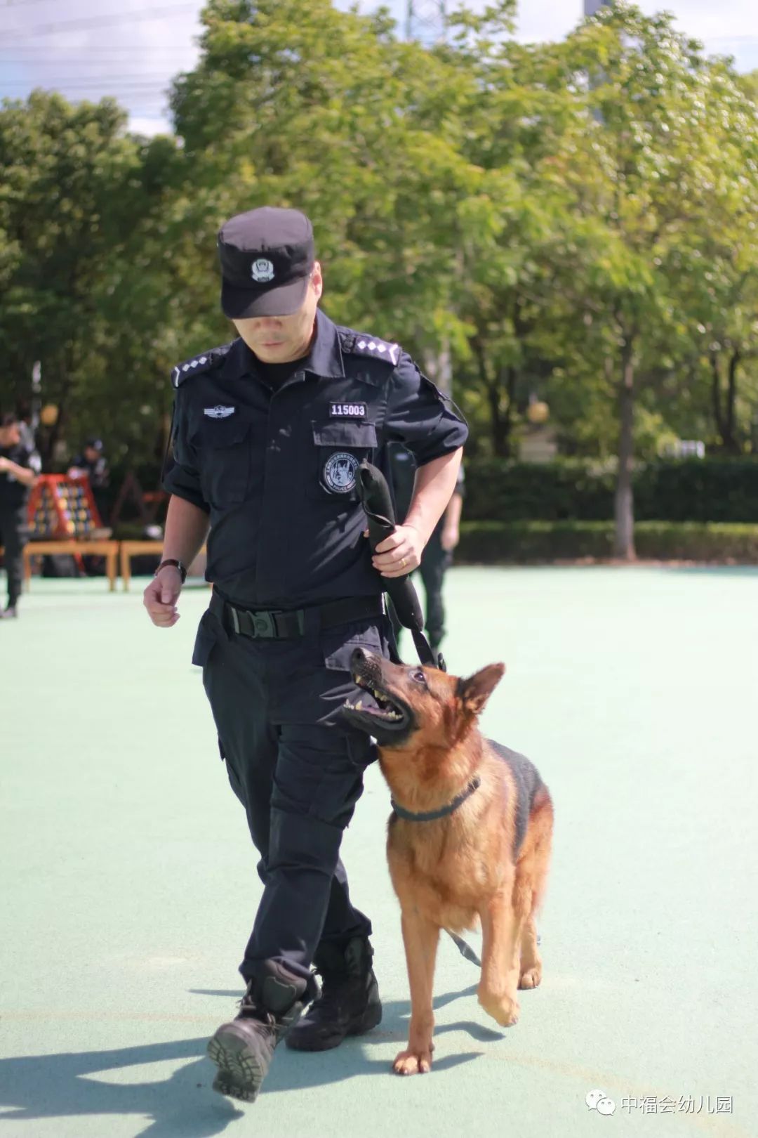 警犬小游戏手机版的简单介绍-第2张图片-太平洋在线下载