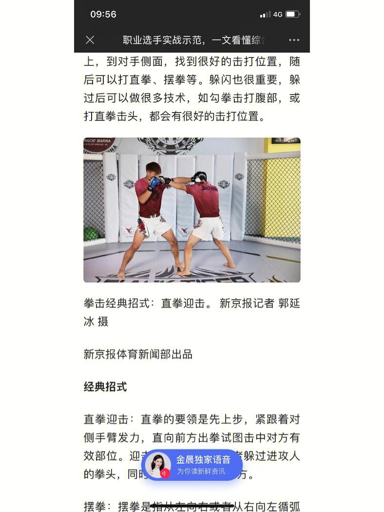 ufc终极拳击手机版ufc2终极格斗冠军游戏pc版下载